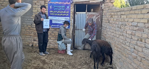 اجرای طرح تشدید نظارت‌های بهداشتی بر مراکز عرضه مواد خام دامی در شهر قیدار